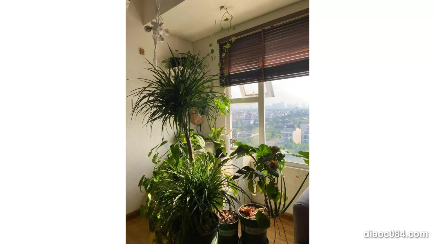 1 bedroom Apartment in Thu Duc, Ho Chi Minh, Vietnam No. 30679
