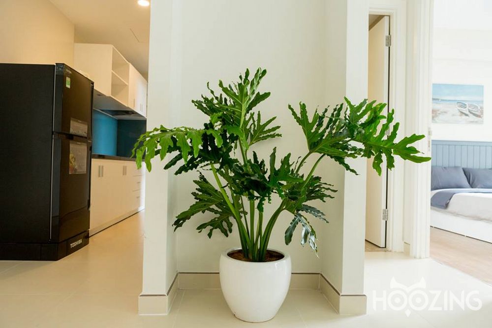 2 bedrooms Apartment in Thu Duc, Ho Chi Minh, Vietnam No. 30930