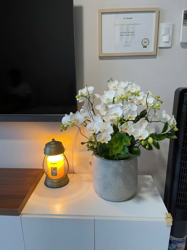 2 bedrooms Apartment in Thu Duc, Ho Chi Minh, Vietnam No. 26775