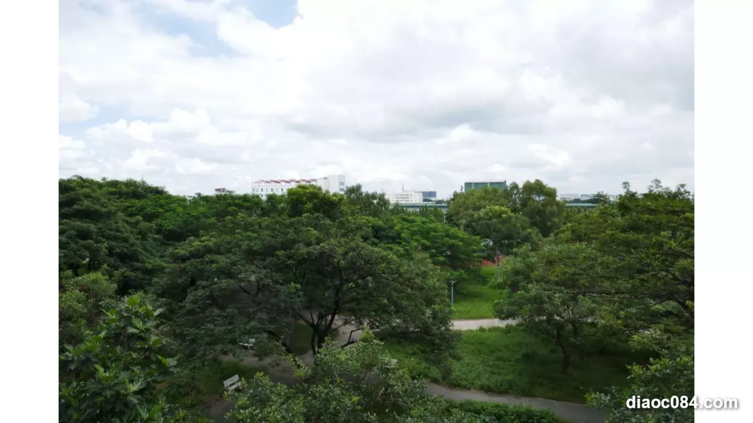 1 bedroom Shop in Tan Phu, Ho Chi Minh, Vietnam No. 30619