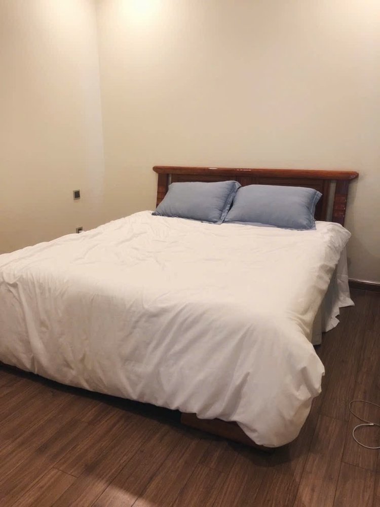 2 bedrooms Apartment in Binh Thanh, Ho Chi Minh, Vietnam No. 29593