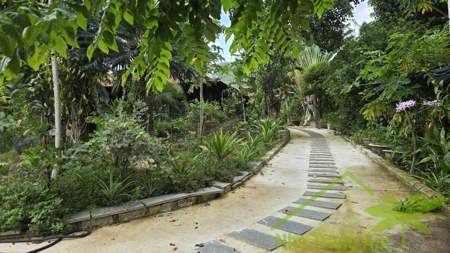2 bedrooms Villa in Nha Trang, Vietnam No. 31602