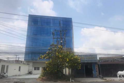 300m2 Townhouse in Vietnam No. 30418