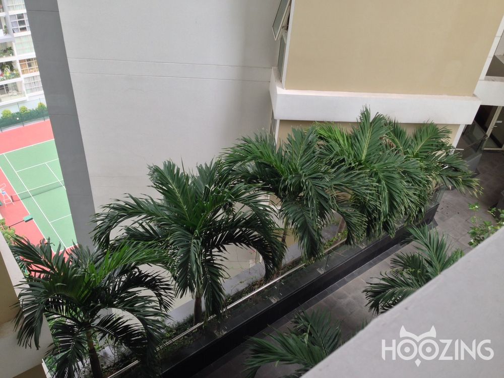 2 bedrooms Apartment in Thu Duc, Ho Chi Minh, Vietnam No. 31257