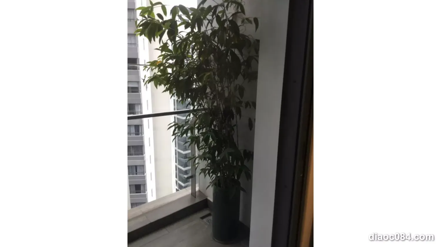 2 bedrooms Apartment in Thu Duc, Ho Chi Minh, Vietnam No. 30484