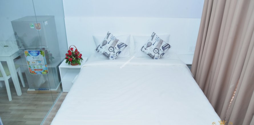 Studio Apartment in District 1, Ho Chi Minh, No. 15057