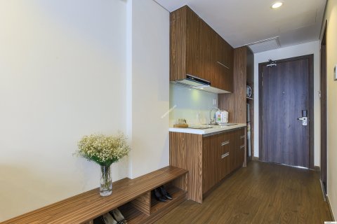 33m2 Apartment in District 3, Ho Chi Minh, No. 15059 4