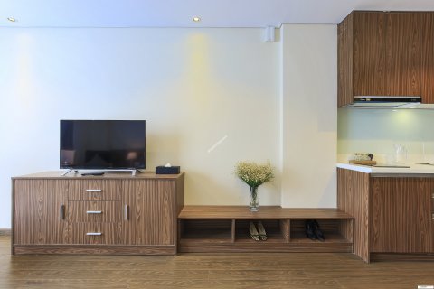 33m2 Apartment in District 3, Ho Chi Minh, No. 15059 2