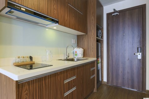 33m2 Apartment in District 3, Ho Chi Minh, No. 15059 5