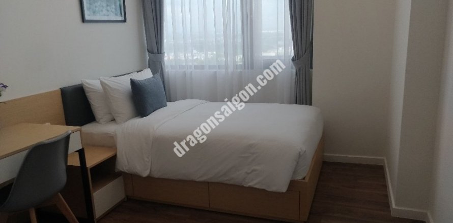 Studio Apartment in District 7, Ho Chi Minh, No. 14985