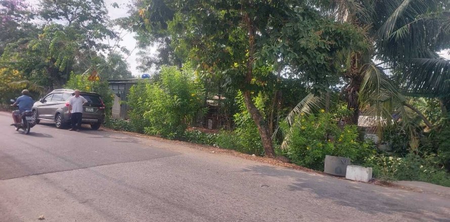 2450m2 Land in Binh Chanh, Ho Chi Minh,  No. 20712