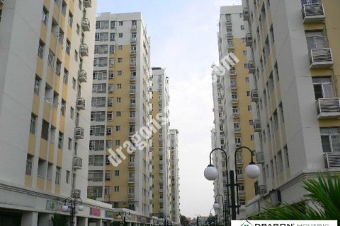 325m2 Apartment in District 7, Ho Chi Minh, No. 15511 11