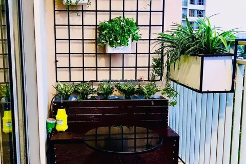 3 bedrooms Apartment in Thu Duc, Ho Chi Minh, No. 12410 6