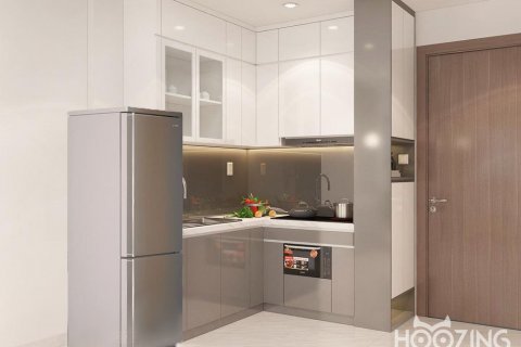 1 bedroom Apartment in Thu Duc, Ho Chi Minh, No. 20847