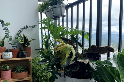 2 bedrooms Apartment in Nha Trang, No. 17145 10
