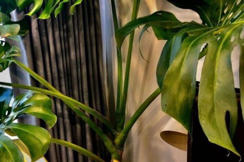 3 bedrooms Apartment in District 7, Ho Chi Minh, No. 21997 22