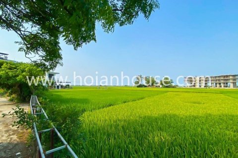 Вилла с 12 спальнями в Hoi An, № 15947 8