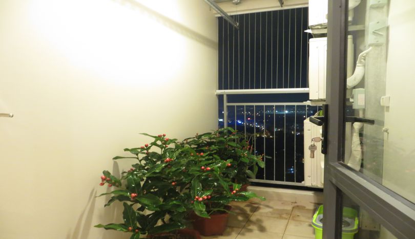 2 bedrooms Apartment in Long Bien, Ha Noi, Vietnam No. 20046