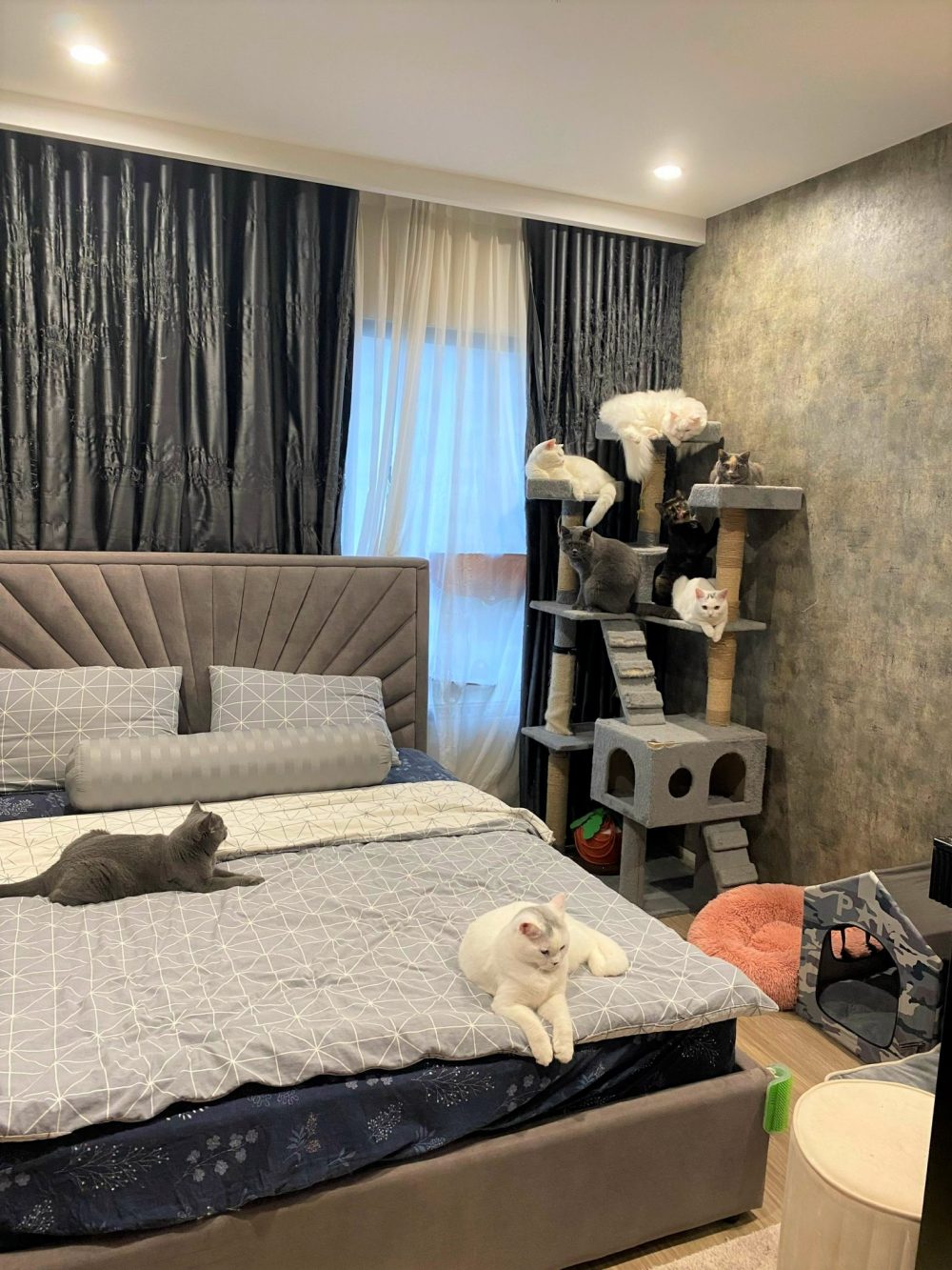 1 bedroom Condo in Nam Tu Liem, Ha Noi, Vietnam No. 17903