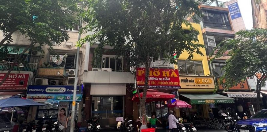 Studio House in District 1, Ho Chi Minh,  No. 17510