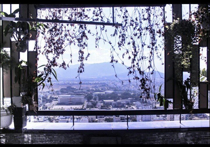 1 bedroom Apartment in Nha Trang, Vietnam No. 16881