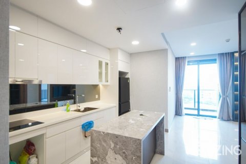 1 bedroom Apartment in Binh Thanh, Ho Chi Minh, No. 21920