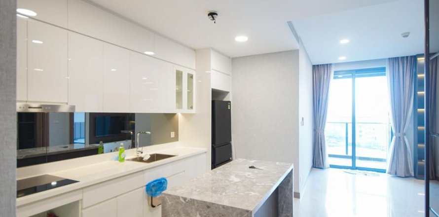 1 bedroom Apartment in Binh Thanh, Ho Chi Minh,  No. 21920