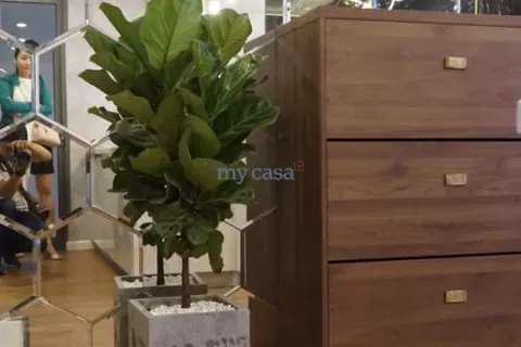 3 bedrooms Apartment in Thu Duc, Ho Chi Minh, No. 12130 10