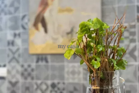 2 bedrooms Apartment in Thu Duc, Ho Chi Minh,  No. 11986 3