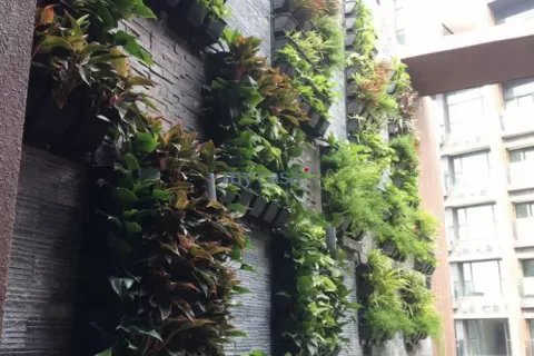 4 bedrooms Apartment in Thu Duc, Ho Chi Minh, No. 11099 3