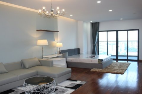 Studio Apartment in Cau Giay, Ha Noi,  No. 19814