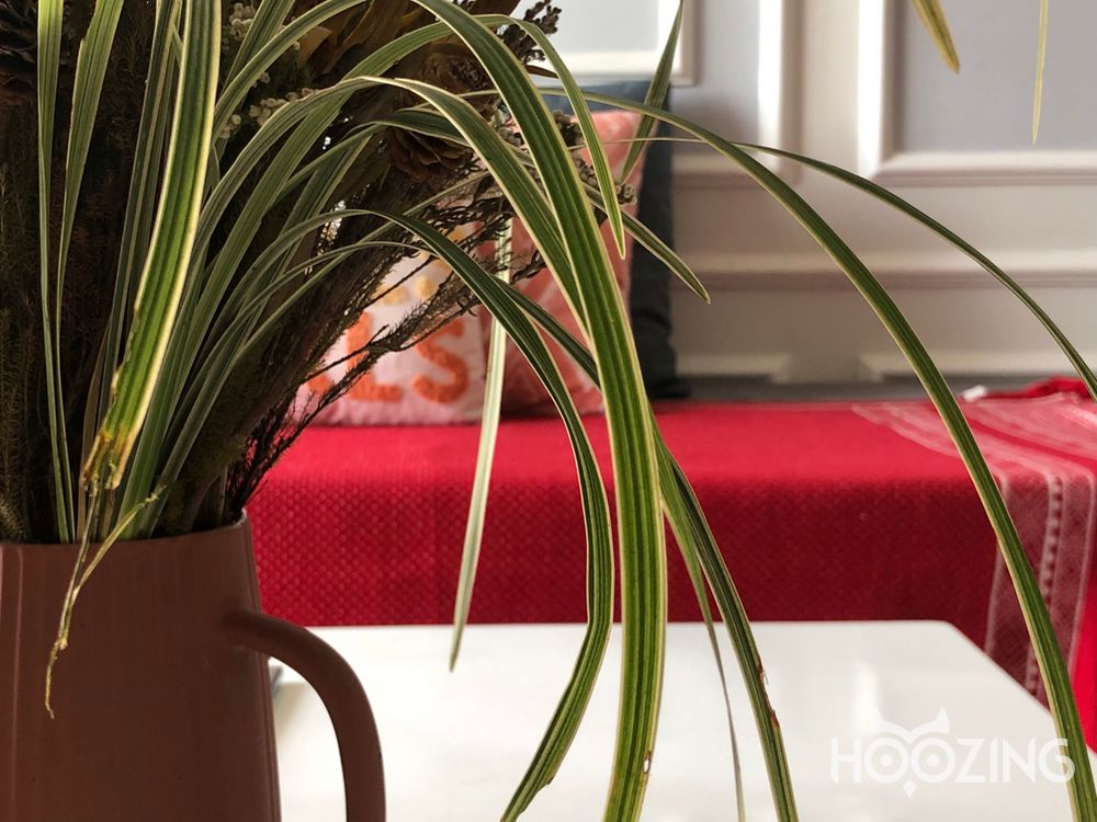 2 bedrooms Apartment in VISTA VERDE in Thu Duc, Ho Chi Minh, Vietnam No. 23323