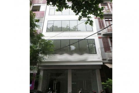 Studio House in Hai Ba Trung, Ha Noi, No. 5533