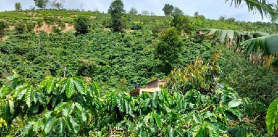 7101m2 Land in Loc Nam, Bao Lam,  No. 17632
