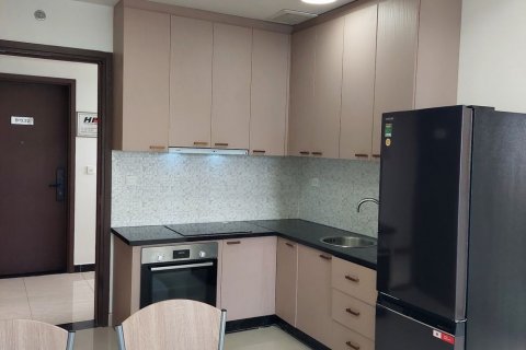 1 bedroom Apartment in District 7, Ho Chi Minh, No. 21157