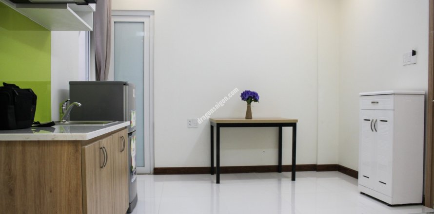 Studio Apartment in District 1, Ho Chi Minh, No. 15190