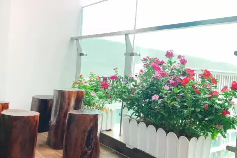 2 bedrooms Apartment in Thu Duc, Ho Chi Minh, No. 12743 4