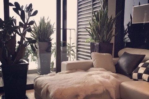 3 bedrooms Apartment in Cau Giay, Ha Noi,  No. 5618 6
