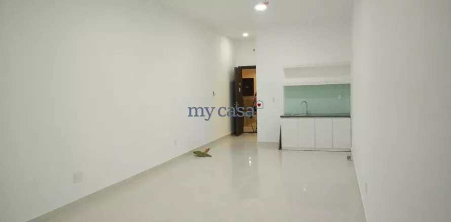 1 bedroom Apartment in Thu Duc, Ho Chi Minh,  No. 11608