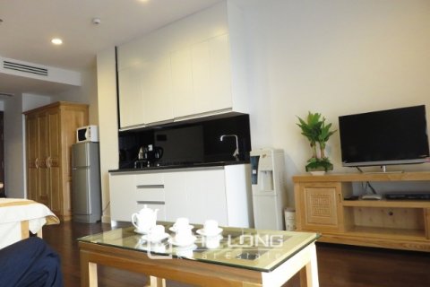 Studio Apartment in Ba Dinh, Ha Noi, No. 3789