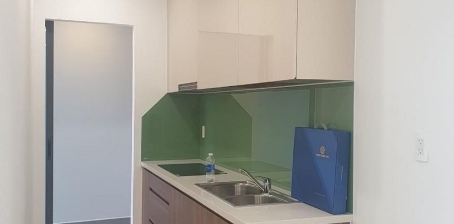 1 bedroom Apartment in District 7, Ho Chi Minh, No. 21022