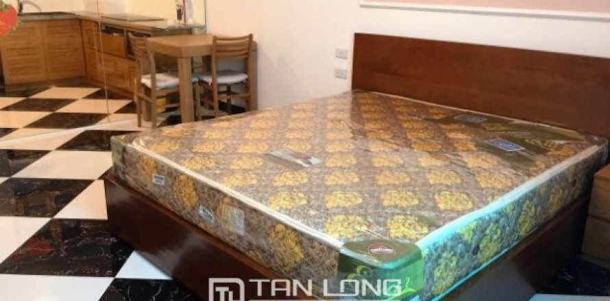 1 bedroom Apartment in Hai Ba Trung, Ha Noi, No. 4049