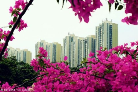 2 bedrooms Apartment in Long Bien, Ha Noi, No. 5206 8