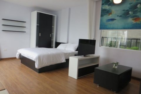 Studio Apartment in Cau Giay, Ha Noi, No. 6158