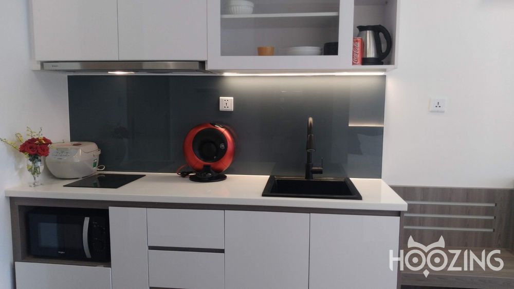 Studio Apartment in Thu Duc, Ho Chi Minh, Vietnam No. 20797