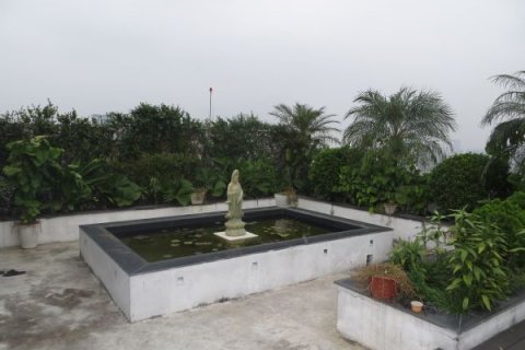 4 bedrooms Penthouse in Cau Giay, Ha Noi,  No. 6445 23