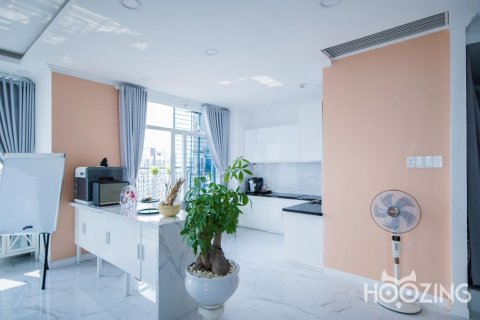 3 bedrooms Penthouse in Binh Thanh, Ho Chi Minh,  No. 23279 16