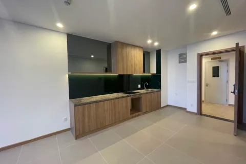 1 bedroom Apartment in Hai Chau, Da Nang, No. 29381 11