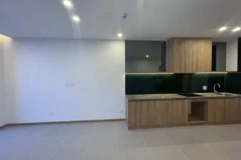 1 bedroom Apartment in Hai Chau, Da Nang, No. 29381 22