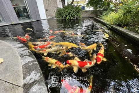 5 bedrooms Villa in Tay Ho, Ha Noi,  No. 2158 3